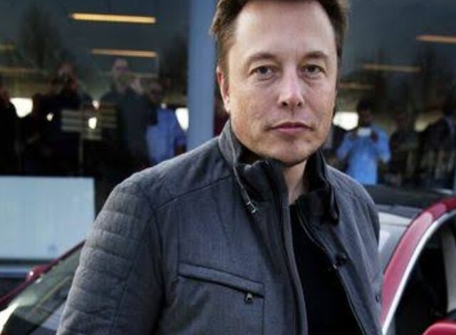 Elon Musk biography