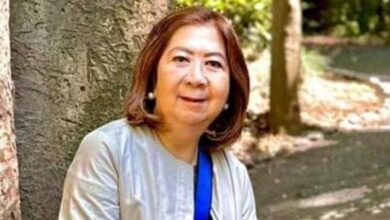 Mariflor Punzalan Castillo Biography